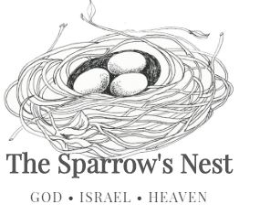 sparrowcloud9.com